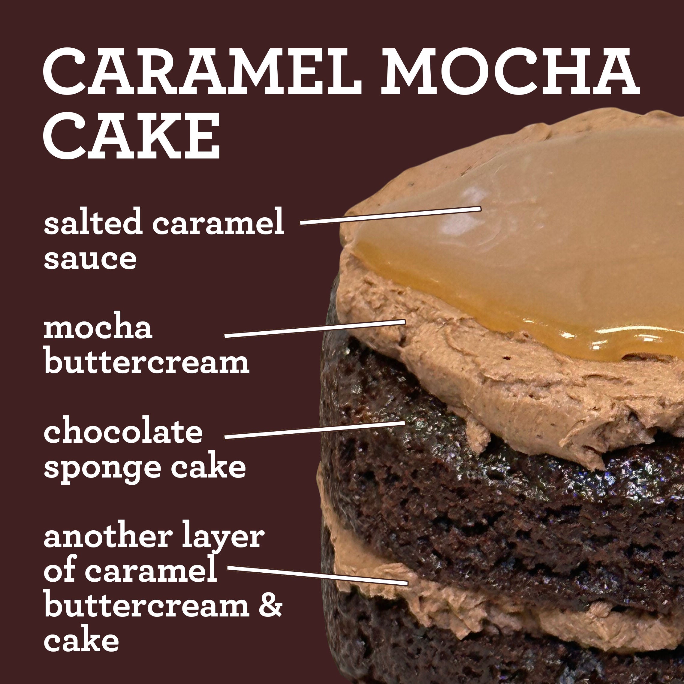 Caramel Mocha Cake (PICK UP ONLY)