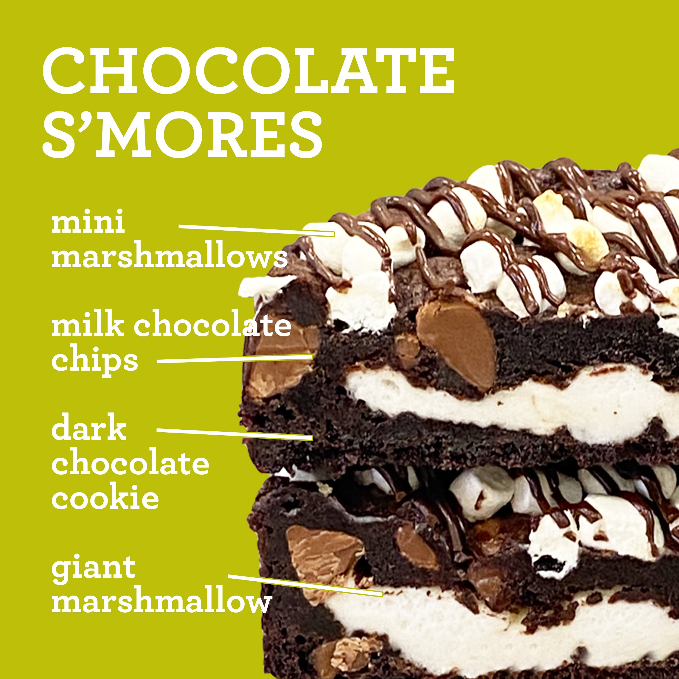 Chocolate S'mores